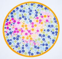 Color blind test -cock