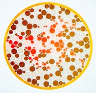 Color blind test -horse N2