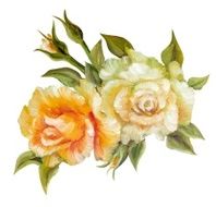 Vinage pink and yellow roses N11