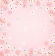 Cherry blossoms in spring frame B