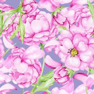 Peony pattern N2