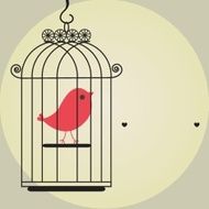Cute bird in birdcage N3
