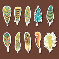 Set of ten feathers N2