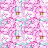 Pink wild rose pattern N2