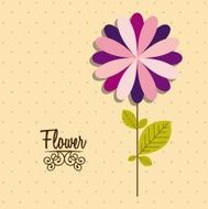 Flowers Icons N16