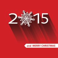 New year 2015 celebration Christmas greeting card with snowflake N2