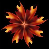 Rose petal Fire flaming flower N7