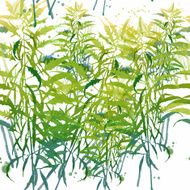 Watercolor vector spring background N19