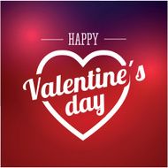 Happy Valentines Day card N117