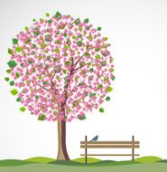 Spring background with flowering tree N2