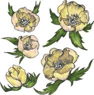 Vintage Floral Design Elements N7