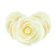 White rose heart shape Vector valentine&#039;s concept