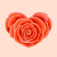 Rose heart shape Vector valentine&#039;s concept