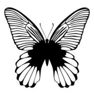 Black butterfly