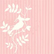 bird background N2