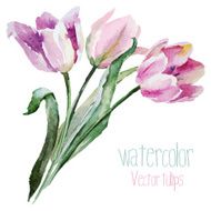 Tulip set