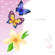 Background of colorful butterflies and flower