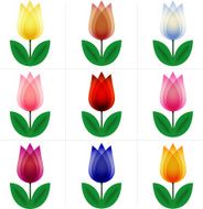 Set of tulips