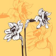 Vintage floral card with daffodil N2