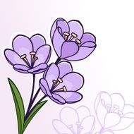 Abstract floral background Greeting postcard