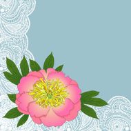 peony background N2
