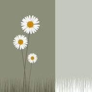 vector daisy background