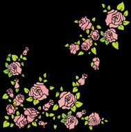 Roses N48