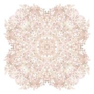 Rose petal flower shell on white background N3