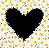 Heart made of daisy flowers