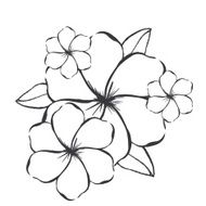 Flowers Graphics