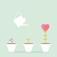 Growing Heart Flower Pot