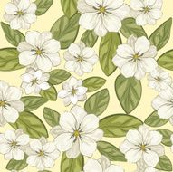 White Flowers N8