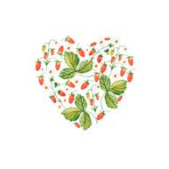 vector watercolor strawberry heart N2