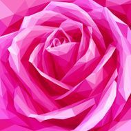 Pink ed polygon rose