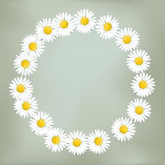 Ring of daisies (Loves me loves me not &hellip;)