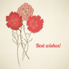 Greeting card with carnations