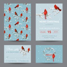 Christmas Winter Birds - Invitation or Greeting Card Set