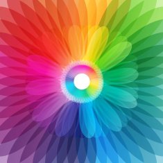 Abstract colorful flower background illustration