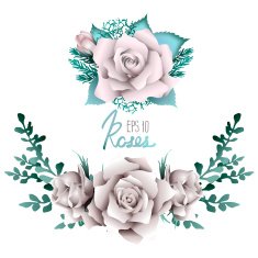 White roses vignettes N2