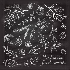 Vector chalk herbal elements set N2