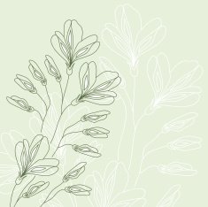 Floral background N938