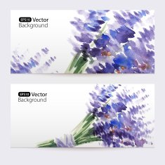 Two floral watercolor banners with bouquet of lavender N2