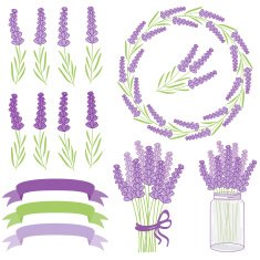 Lavender set N2