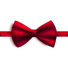 Red decorative vector bow N2