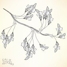 Floral Elements for design N41