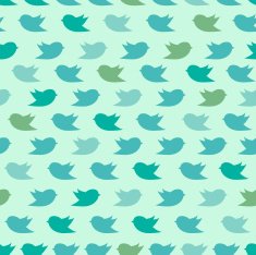 Tweet birds pattern