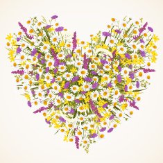 Wild flower heart