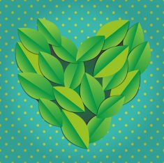 Heart shape made of leaves N2