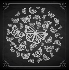 Vintage Chalk Butterfly Circle