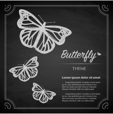 Vintage Chalk Butterfly Copy Space